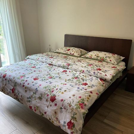 Appartamenti Ramarro Ronco sopra Ascona Kültér fotó